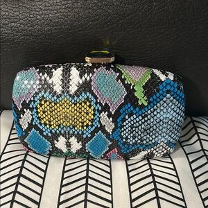 Colorful Snakeskin Clutch